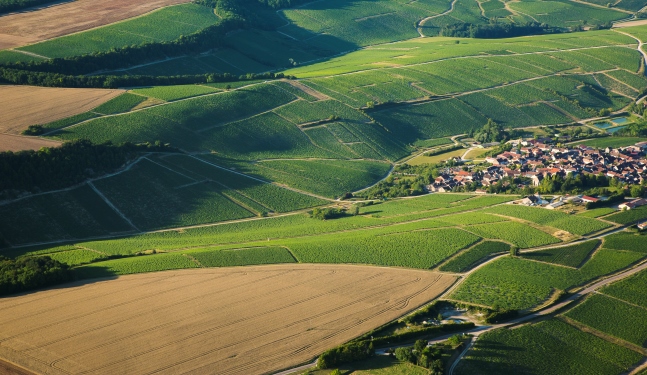 肖姆德塔瓦/Chaume de Talvat,若昂丘/Côte de Jouan